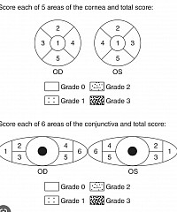 NEI grading system