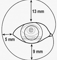 Conjunctival cul-de-sac